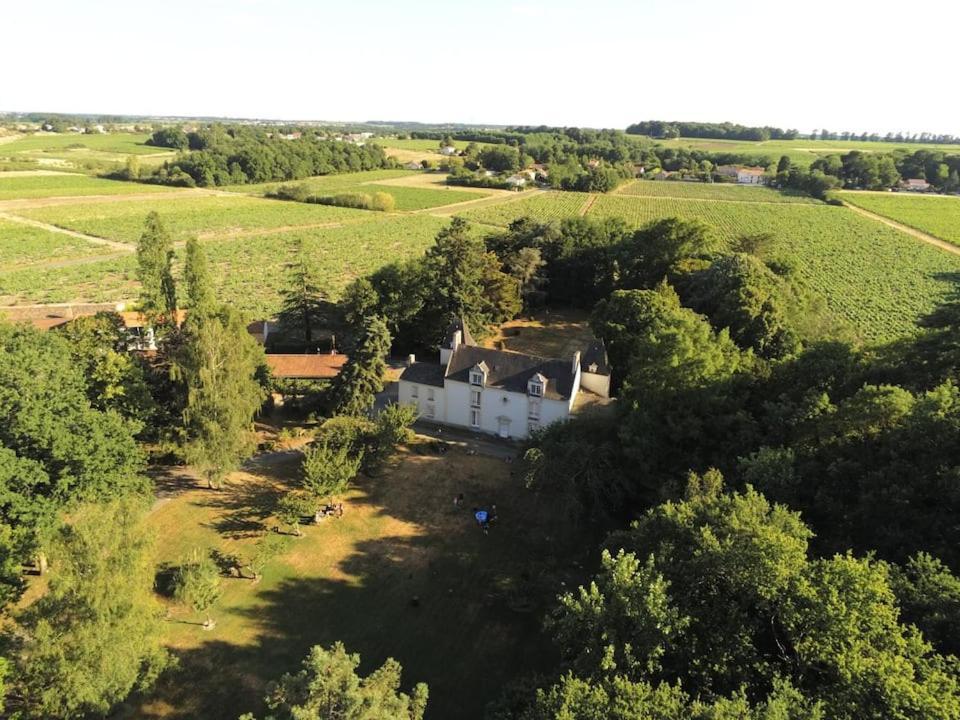 Du Vignoble A L'Atlantique - Chateau Cassemichere Gite La Chapelle-Heulin Exteriér fotografie